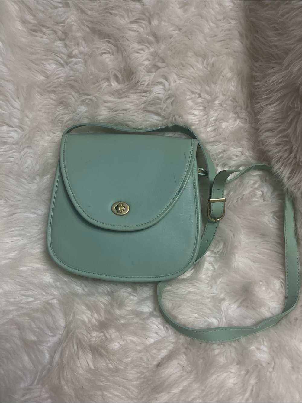 Mint Green Synthetic Crossbody Shoulder Bag with turn lock closure.
